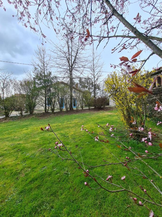 Le Terrier maison de campagne 250 m2 grande capacité 20 couchages, 4500m2 de terrain Villa Saint-Pierre-du-Chemin Exterior foto